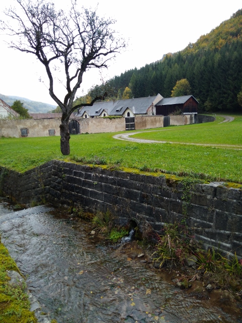 IMG_20171008_154316 (480x640)