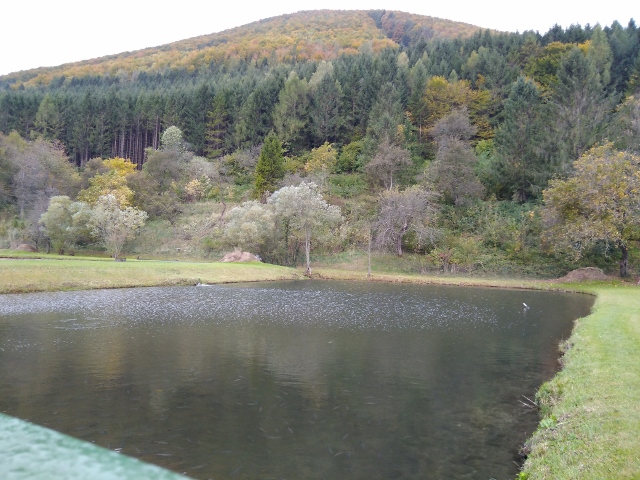 IMG_20171008_154556 (640x480)