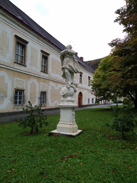 IMG_20171008_155317 (480x640)