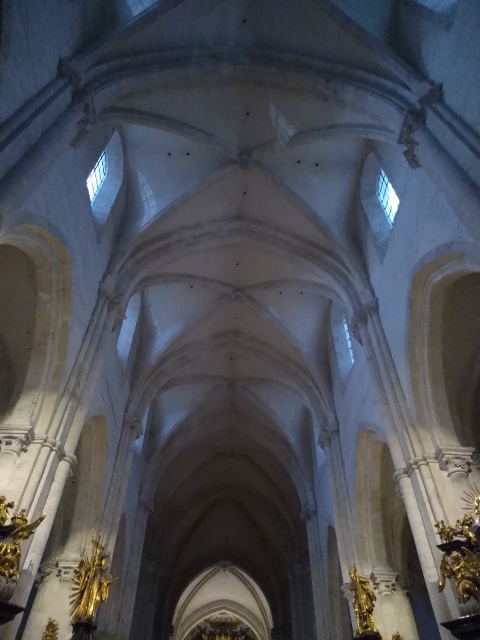 IMG_20171008_175818 (480x640)