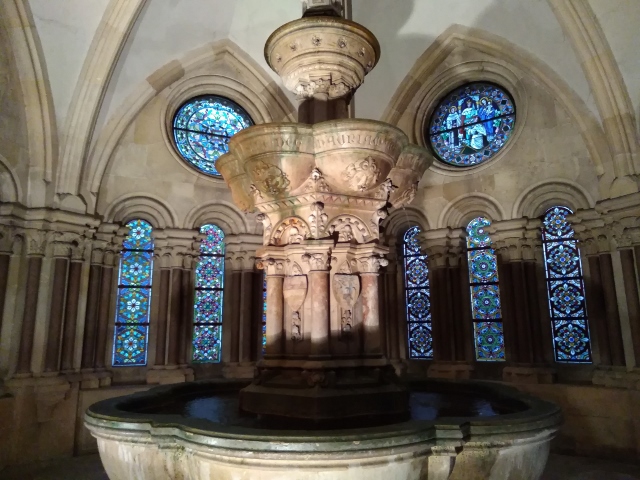 IMG_20171009_072555 (640x480)