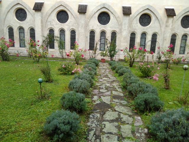 IMG_20171009_094030 (640x480)