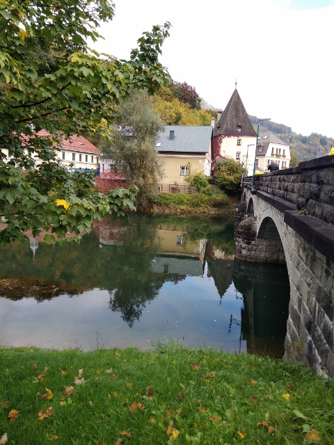 IMG_20171009_100225 (480x640)