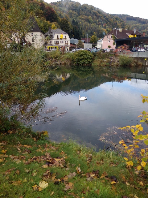 IMG_20171009_101933 (480x640)