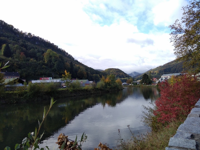 IMG_20171009_102905 (640x480)