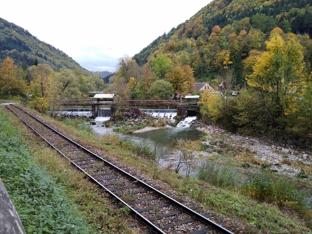 IMG_20171009_122013 (640x480)