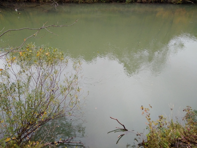 IMG_20171009_140247 (640x480)