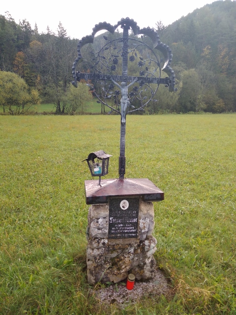 IMG_20171010_084458 (480x640)