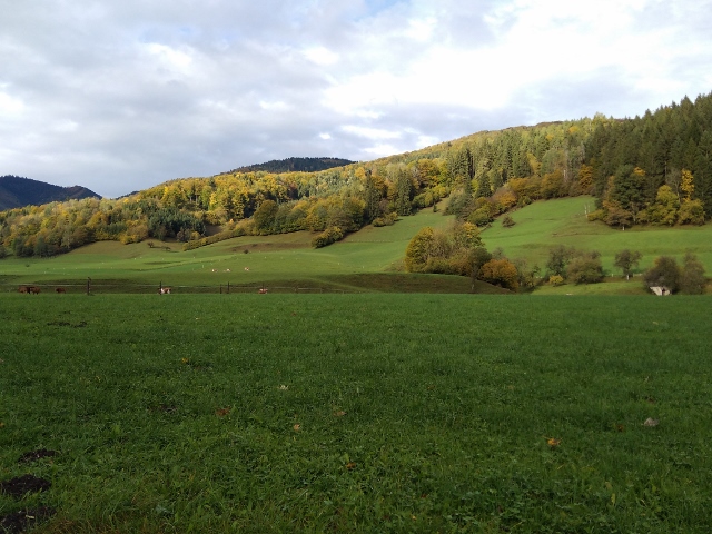 IMG_20171010_091000 (640x480)