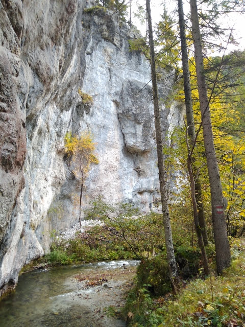 IMG_20171010_095046 (480x640)