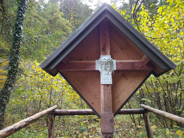 IMG_20171010_101419 (640x480)