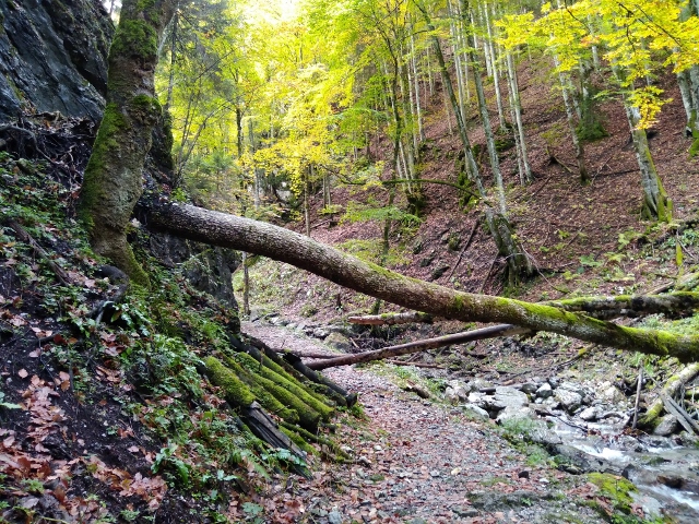 IMG_20171010_111051 (640x480)