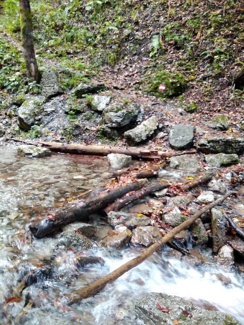 IMG_20171010_111305 (480x640)