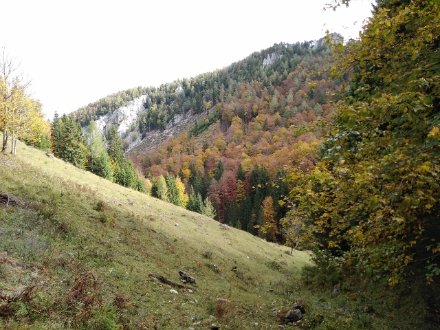 IMG_20171010_121139 (640x480)