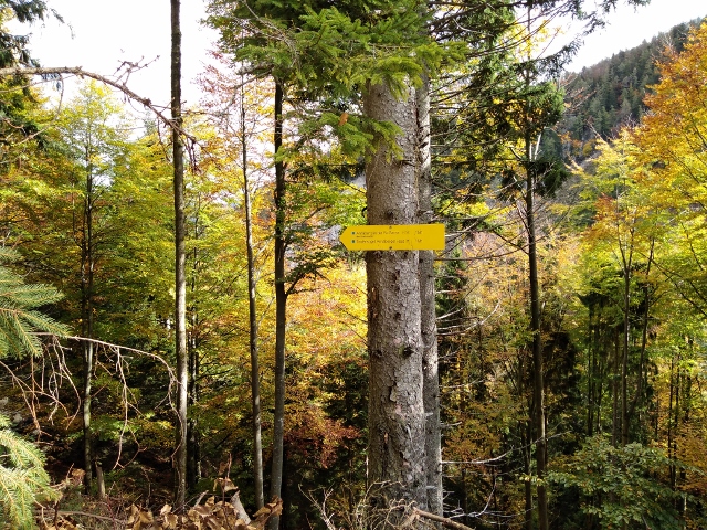 IMG_20171010_121508 (640x480)