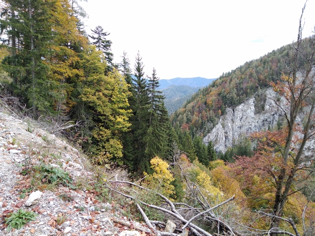 IMG_20171010_122718 (640x480)