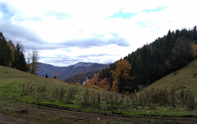 IMG_20171010_125527 (640x402)