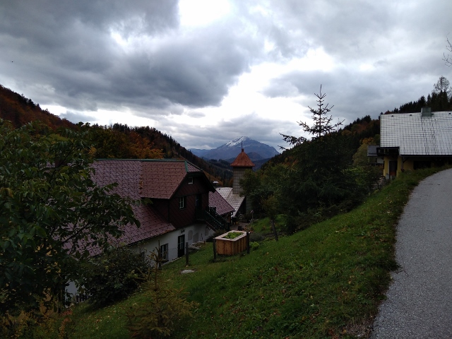 IMG_20171010_141813 (640x480)