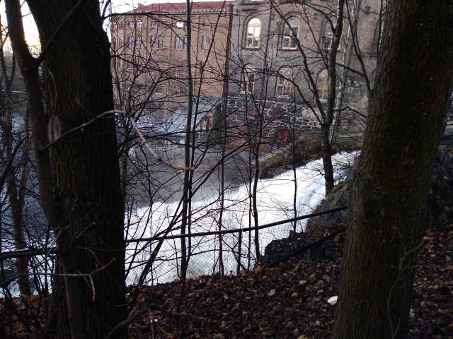 IMG_20171125_092007 (640x480)