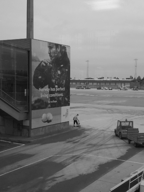 IMG_20171127_134712 (480x640)