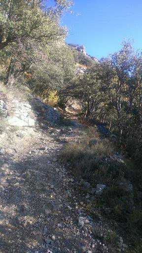 Spain autumn 2016 phone 1874 (288x512)