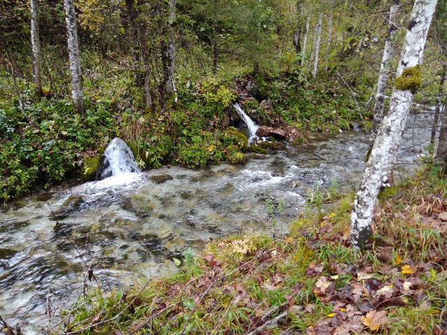 IMG_20171010_093848 (640x480)