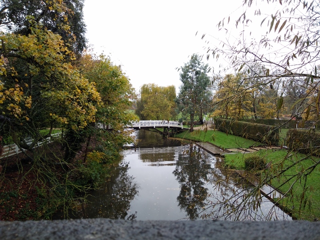 IMG_20171111_110758 (640x480)