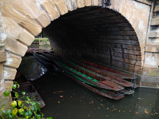 IMG_20171111_111409 (640x480)