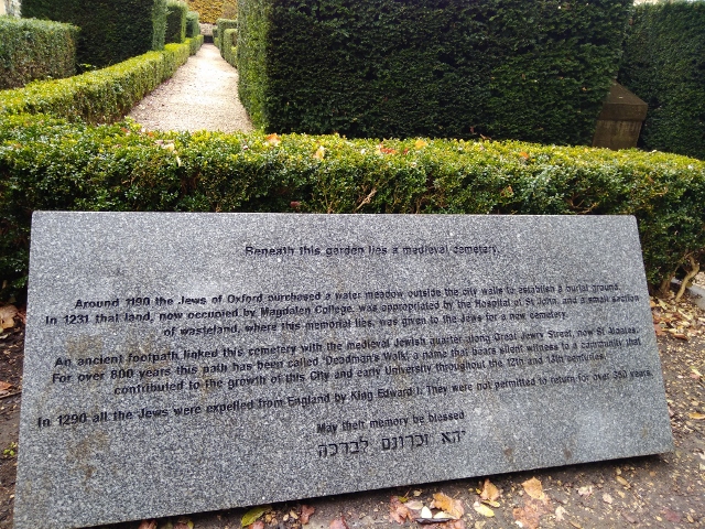 IMG_20171111_111623 (640x480)