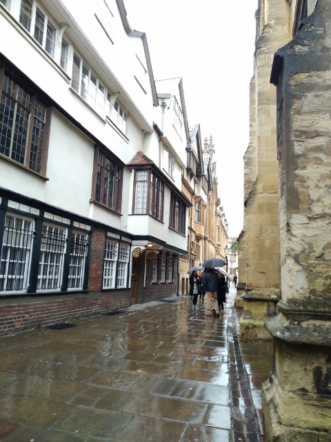 IMG_20171111_112350 (480x640)