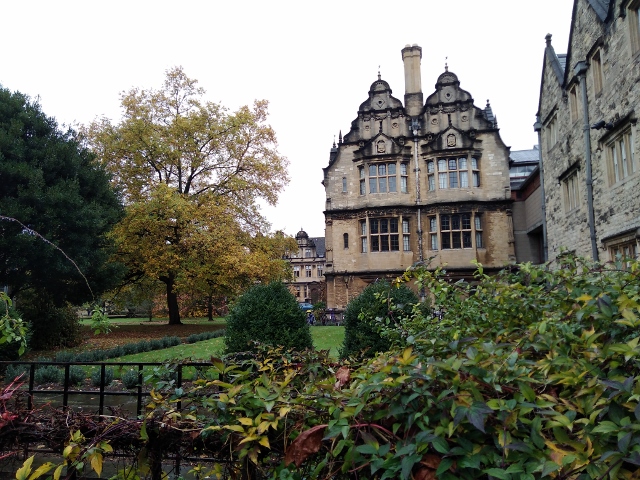 IMG_20171111_113046 (640x480)