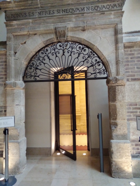 IMG_20171111_134540 (480x640)