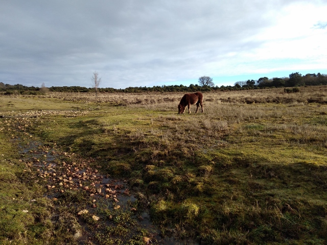 IMG_20171216_105826 (640x480)