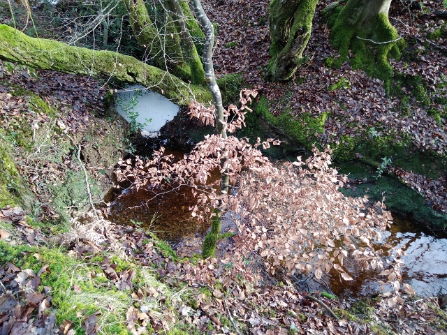 IMG_20171216_110132 (640x480)