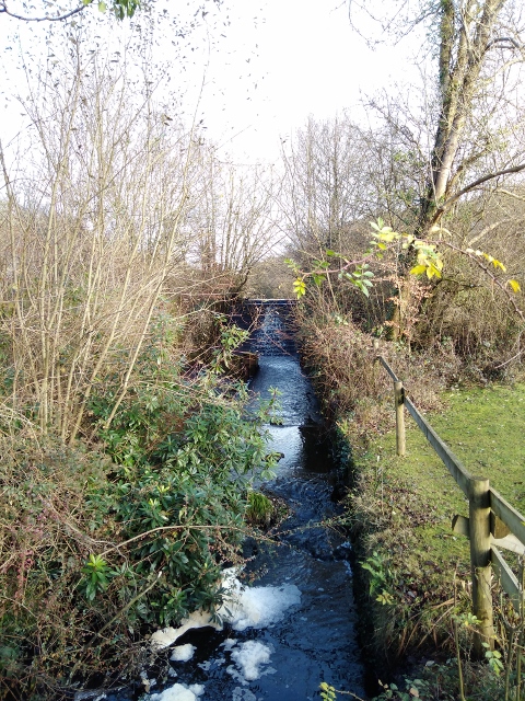 IMG_20171216_114512 (480x640)