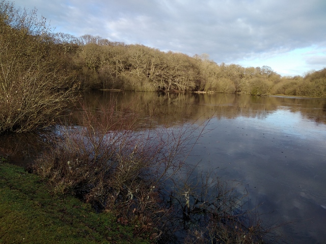 IMG_20171216_131342 (640x480)