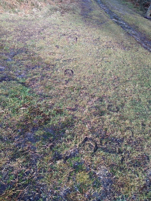 IMG_20171216_135256 (480x640)