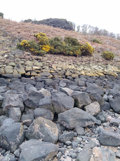 IMG_20180106_095325 (480x640)