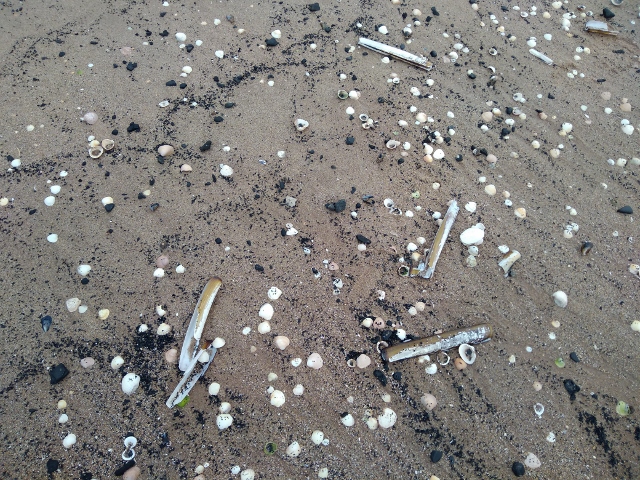 IMG_20180106_100131 (640x480)