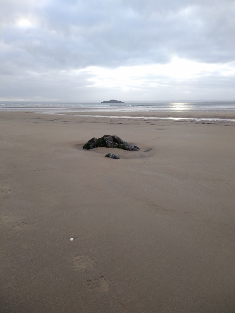 IMG_20180106_101058 (480x640)