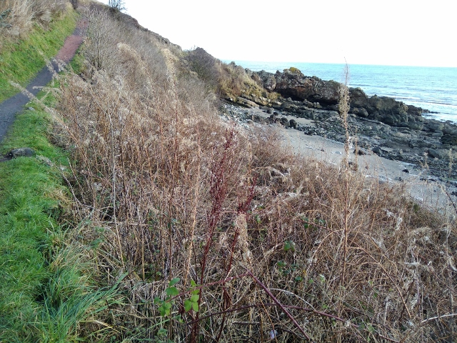 IMG_20180106_110125 (640x480)