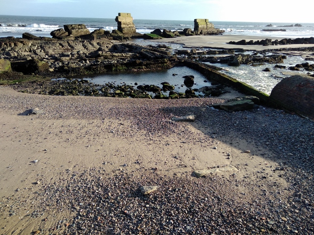 IMG_20180106_113217 (640x480)