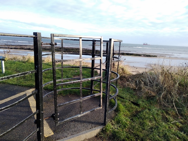 IMG_20180106_114101 (640x480)