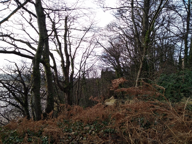 IMG_20180106_124633 (640x480)