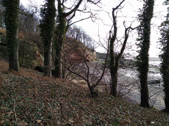 IMG_20180106_125203 (640x480)