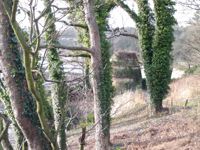 IMG_20180106_125426 (640x480)