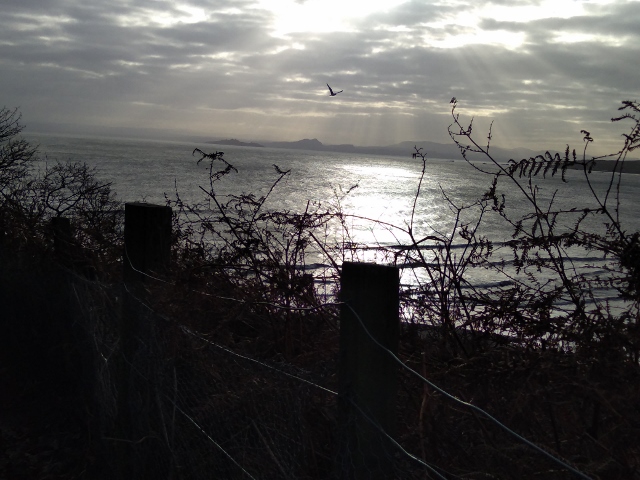 IMG_20180106_125757 (640x480)