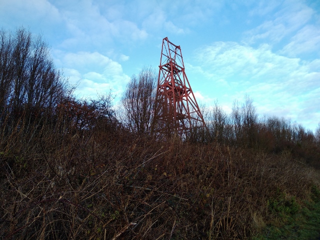 IMG_20180106_143220 (480x640)