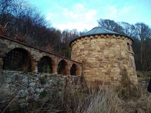 IMG_20180106_145245 (640x480)