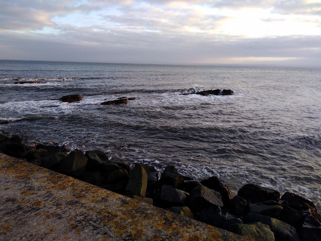 IMG_20180106_150417 (640x480)